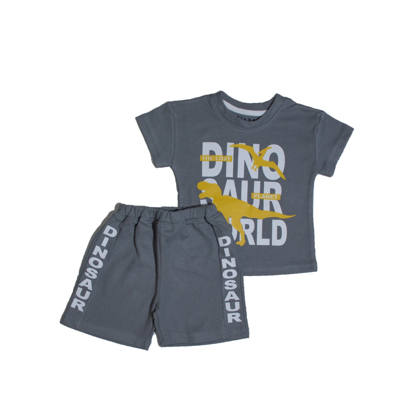 Dinosaur T – Shirt with Shorts