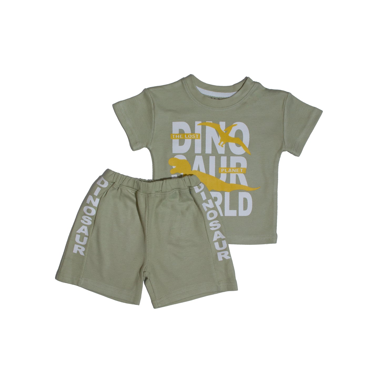 Dinosaur T – Shirt with Shorts